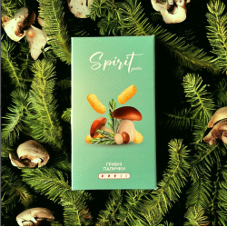 Табак Spirit Gastro Грибные палочки 40 гр