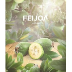 Табак 420 Tea Line Feijoa (Фейхоа) 125 гр