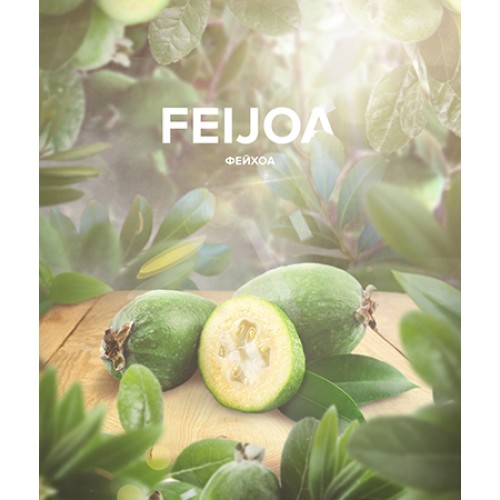 Табак 420 Tea Line Feijoa (Фейхоа) 125 гр