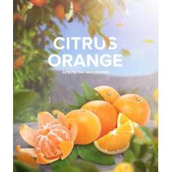 Табак 420 Tea Line Citrus Orange (Цитрус Апельсин) 125 гр
