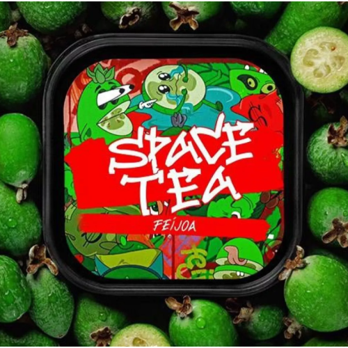 Безникотиновая смесь Space Tea Feijoa (Фейхоа) 40 гр