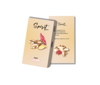 Табак Spirit Gastro Имбирь 40 гр