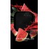 Табак Heven Watermelon 100 гр