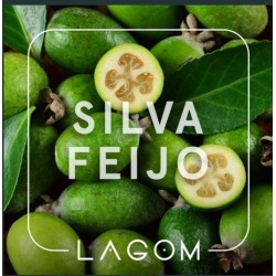 Табак Lagom Main Silvia Feijoa 200 гр