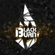 Табак Black Burn