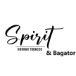 Табак Spirit & Bagator
