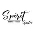 Табак Spirit Gastro 40 гр