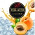 Табак Milano M168 Ice Apricot (Лед Абрикос) 100 гр