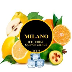 Табак Milano M173 Ice Feijoa Quince Citrus (Фейхоа Айва Цитрус Лед) 100 гр