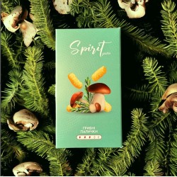 Тютюн Spirit Gastro Грибні палички 40 гр