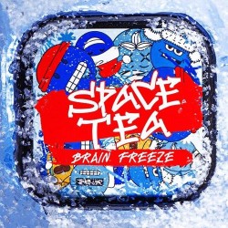Безникотиновая смесь Space Tea Brain Freeze (Мороз) 100 гр