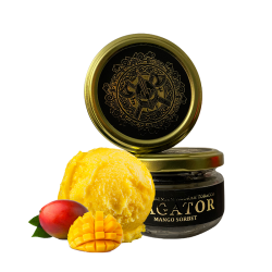 Табак Bagator Mango Sorbet 50 гр