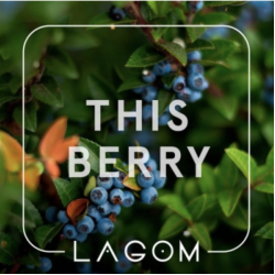 Табак Lagom Navy This Berry 40 гр