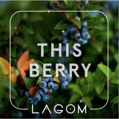 Табак Lagom Navy This Berry 40 гр