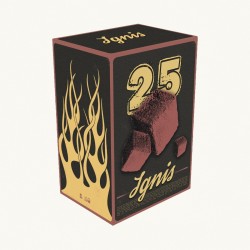 Уголь кокосовый Ignis (72 шт) 25х25 1 кг